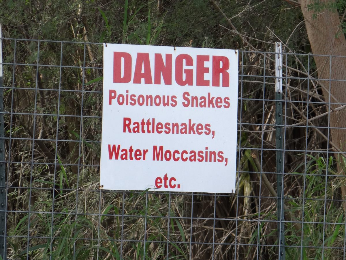 Poisonous Snakes.